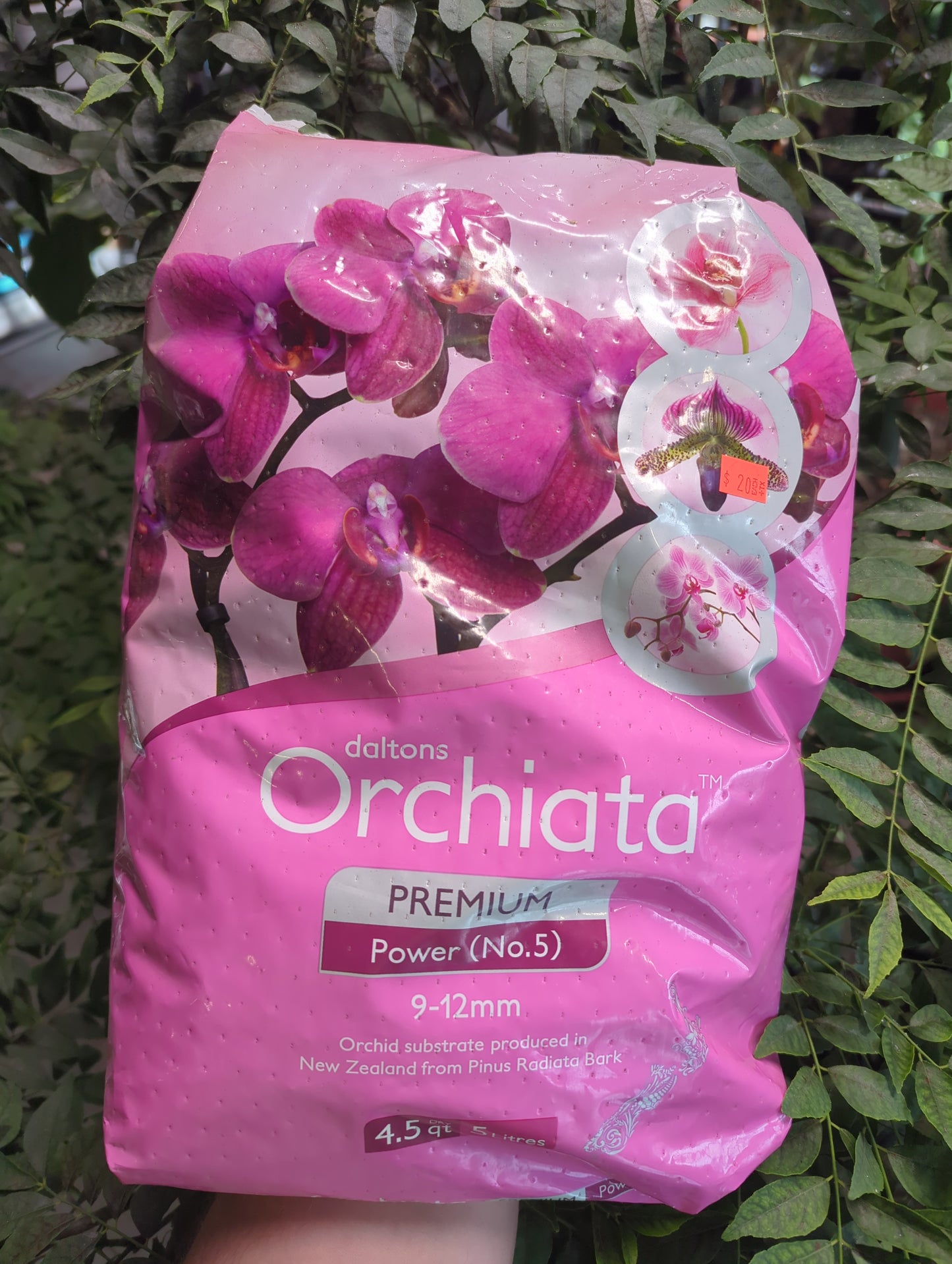 Orchiata Orchid Bark 9-12mm 5L