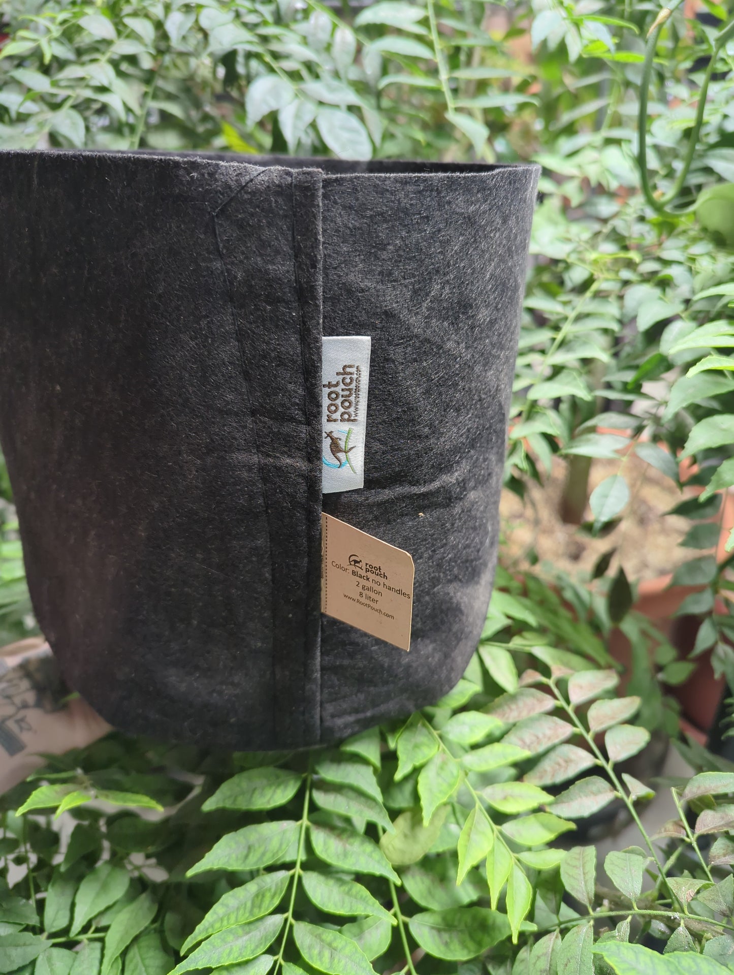 Root Pouch 2 gallon - Black Fabric Bag