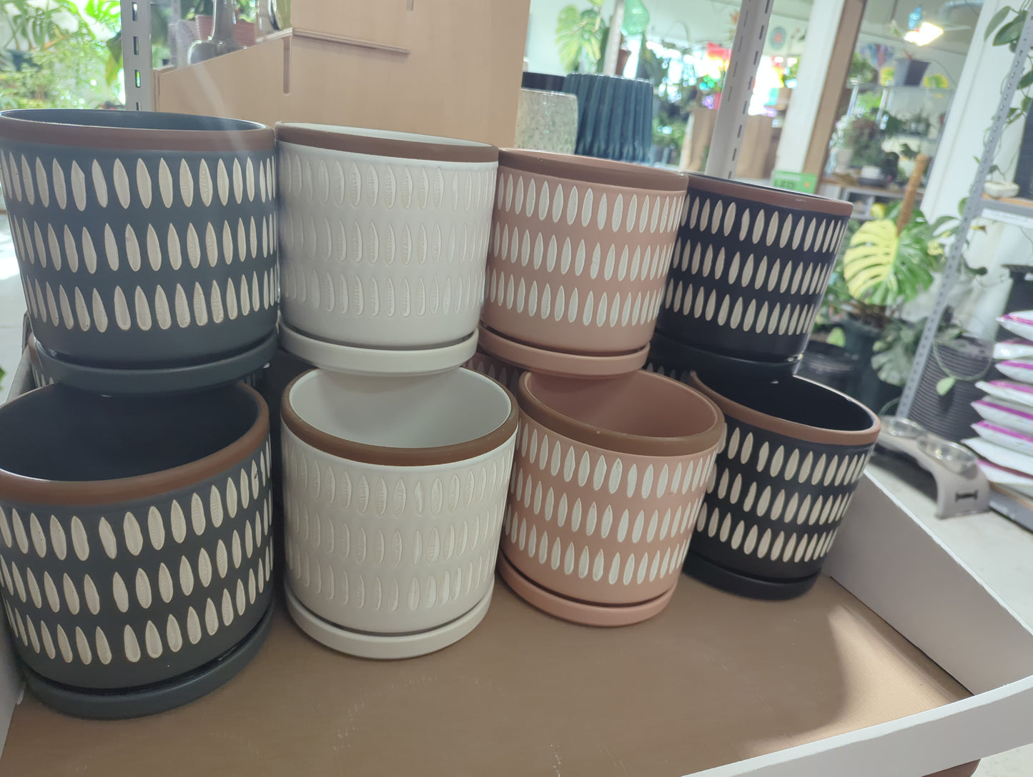 PICKET 15CM ASST COLOUR MIX