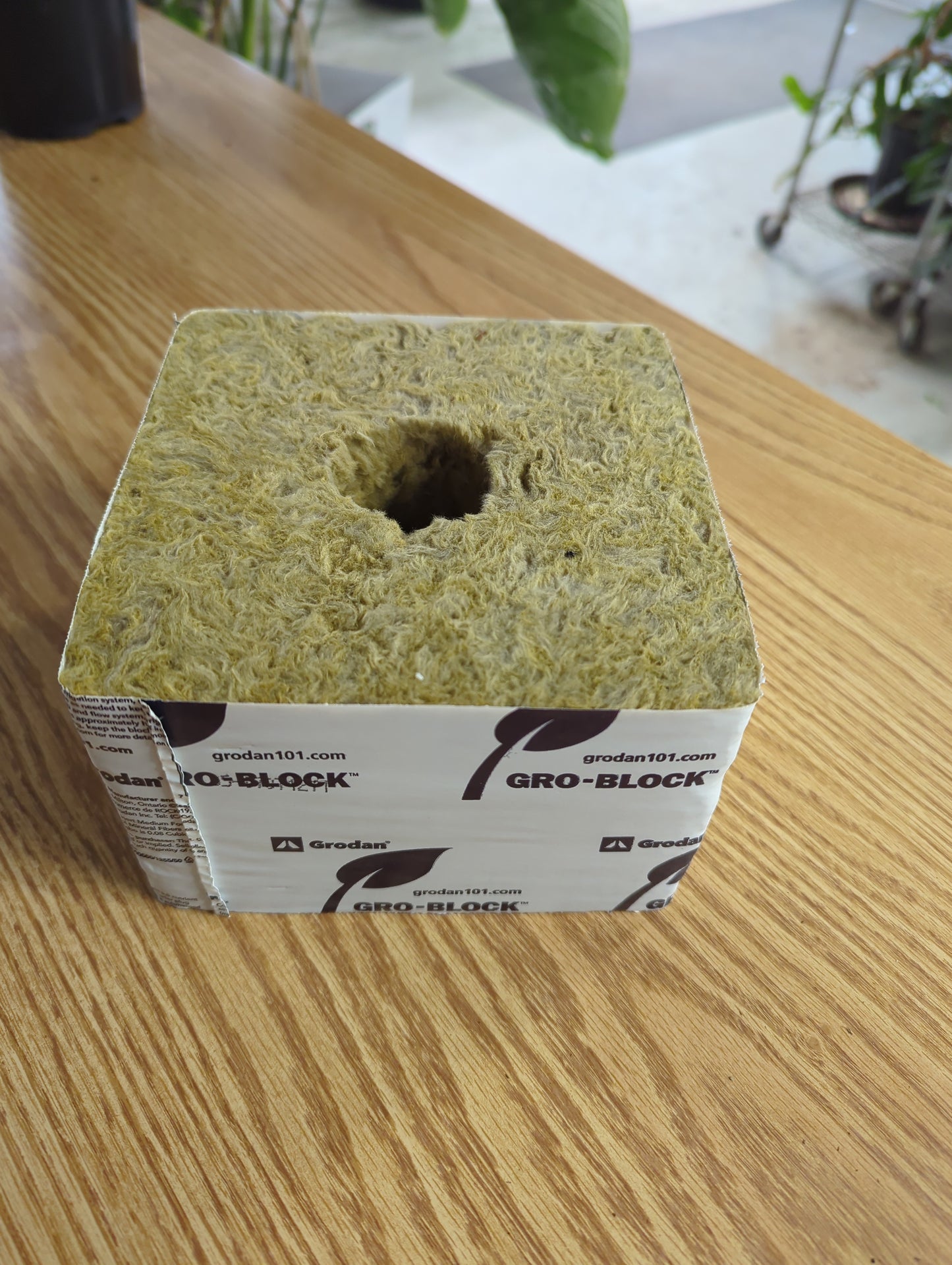 Grodan Half Hugo 6 in with hole rockwool