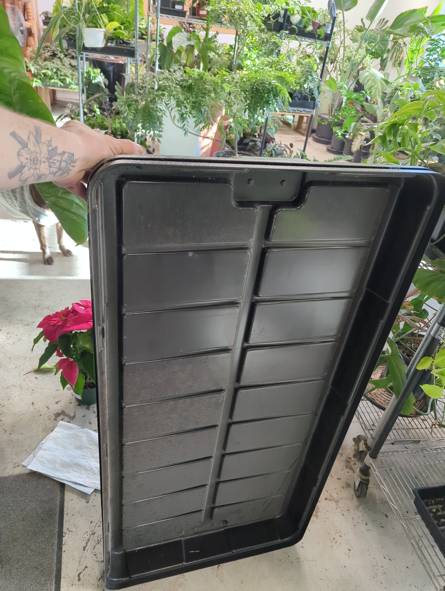 Low Rise Flood Table 2 x 4