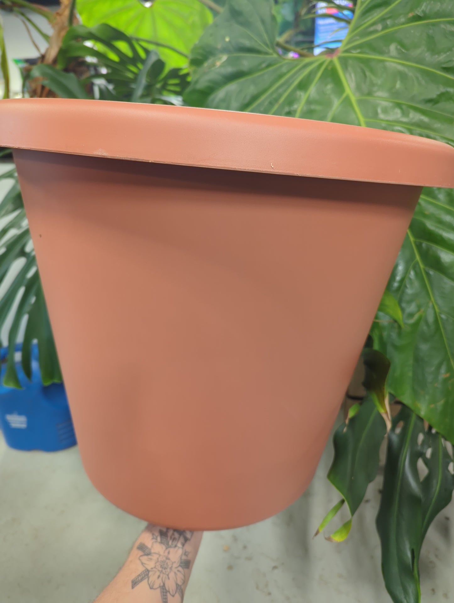 20" Classic Pot Terra Cotta