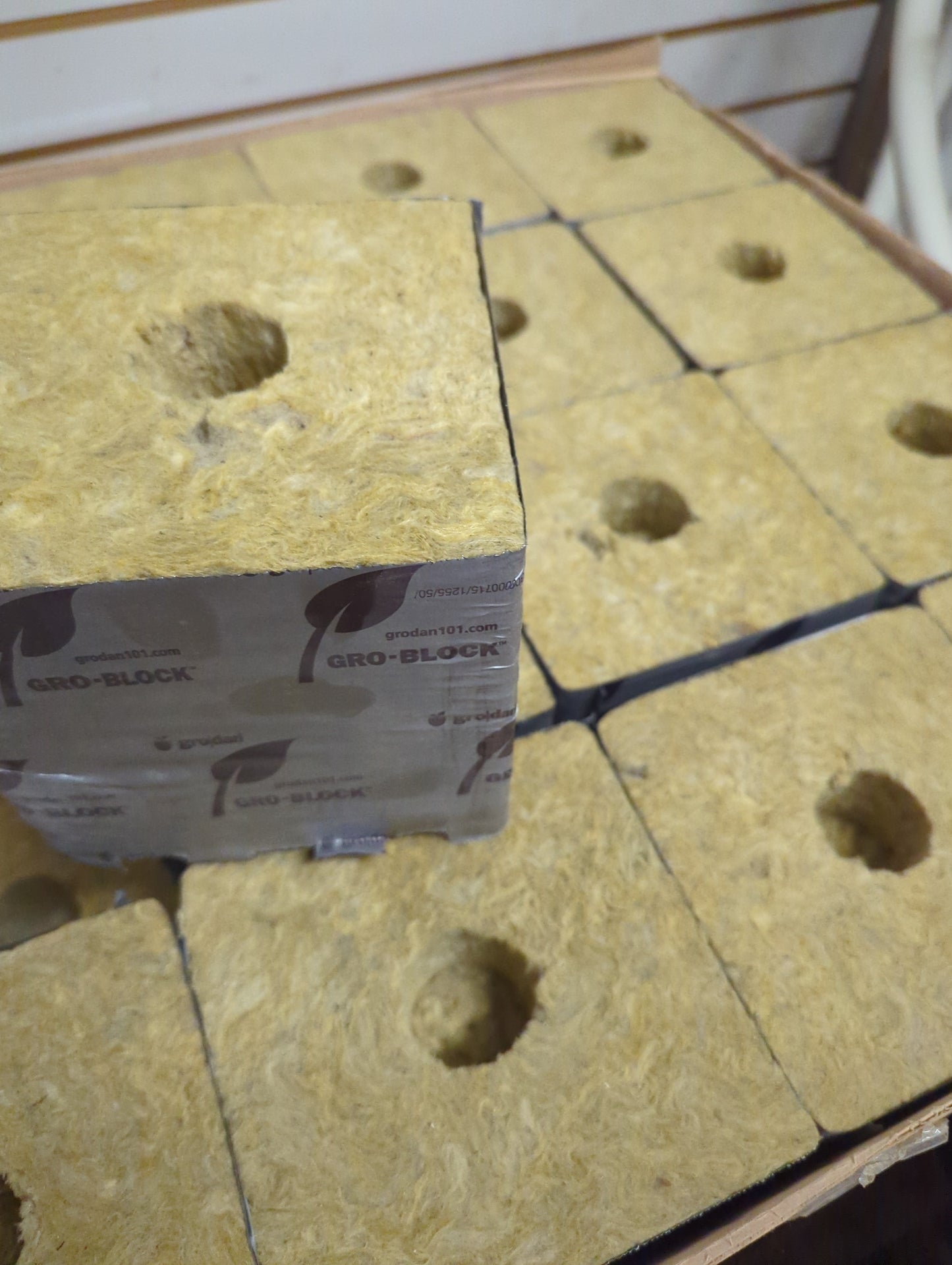 Grodan Hugo 6in with hole