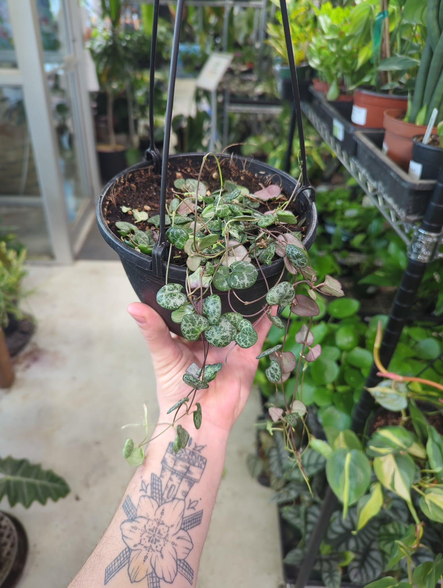 HB String of Hearts