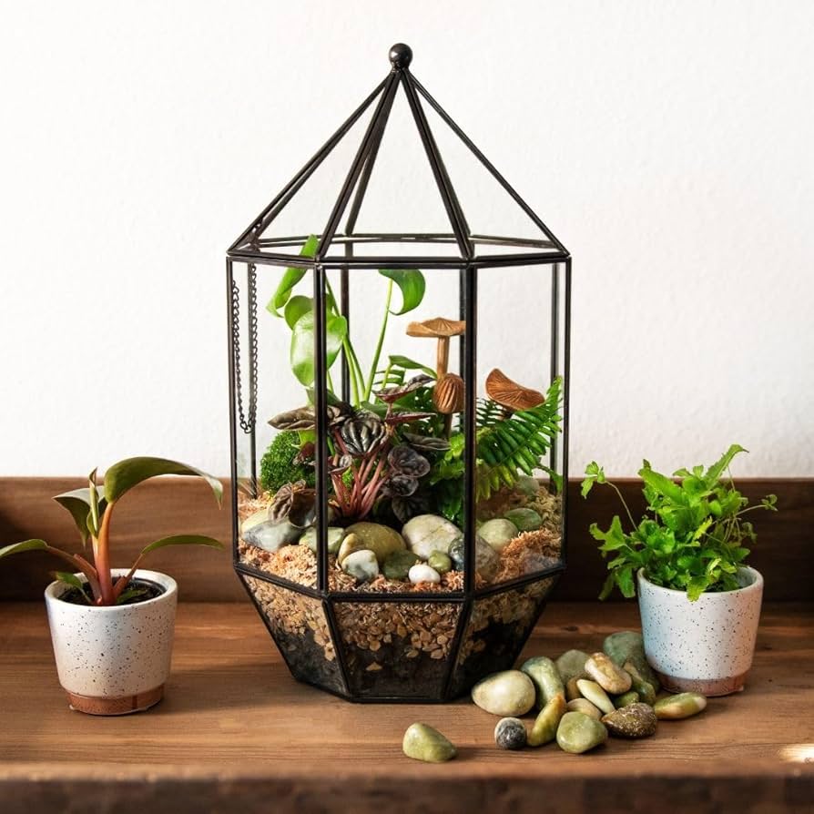 Glass Terrarium Greenhouse