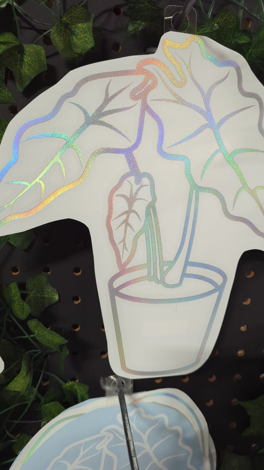 Decal ALOCASIA 10X10