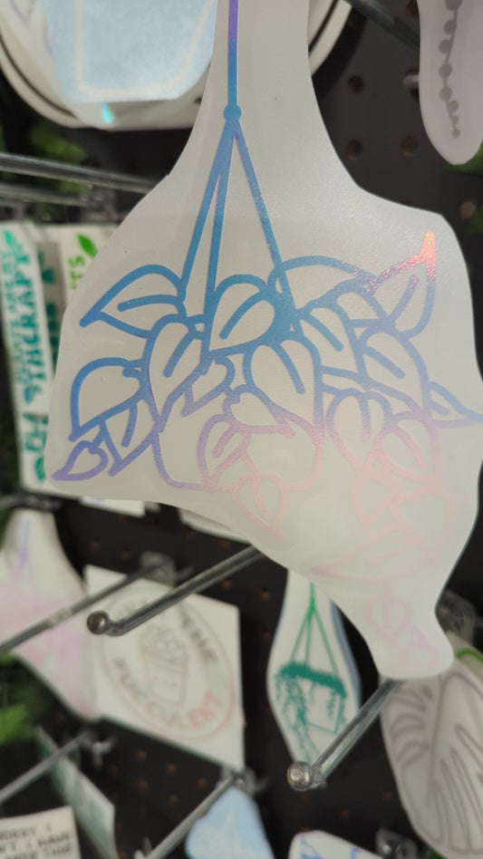 Decal HANGING POTHOS 8X5"