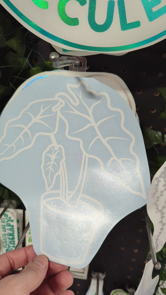Decal ALOCASIA 8X8"