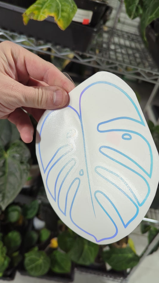 MONSTERA LEAF 6X6" Decal