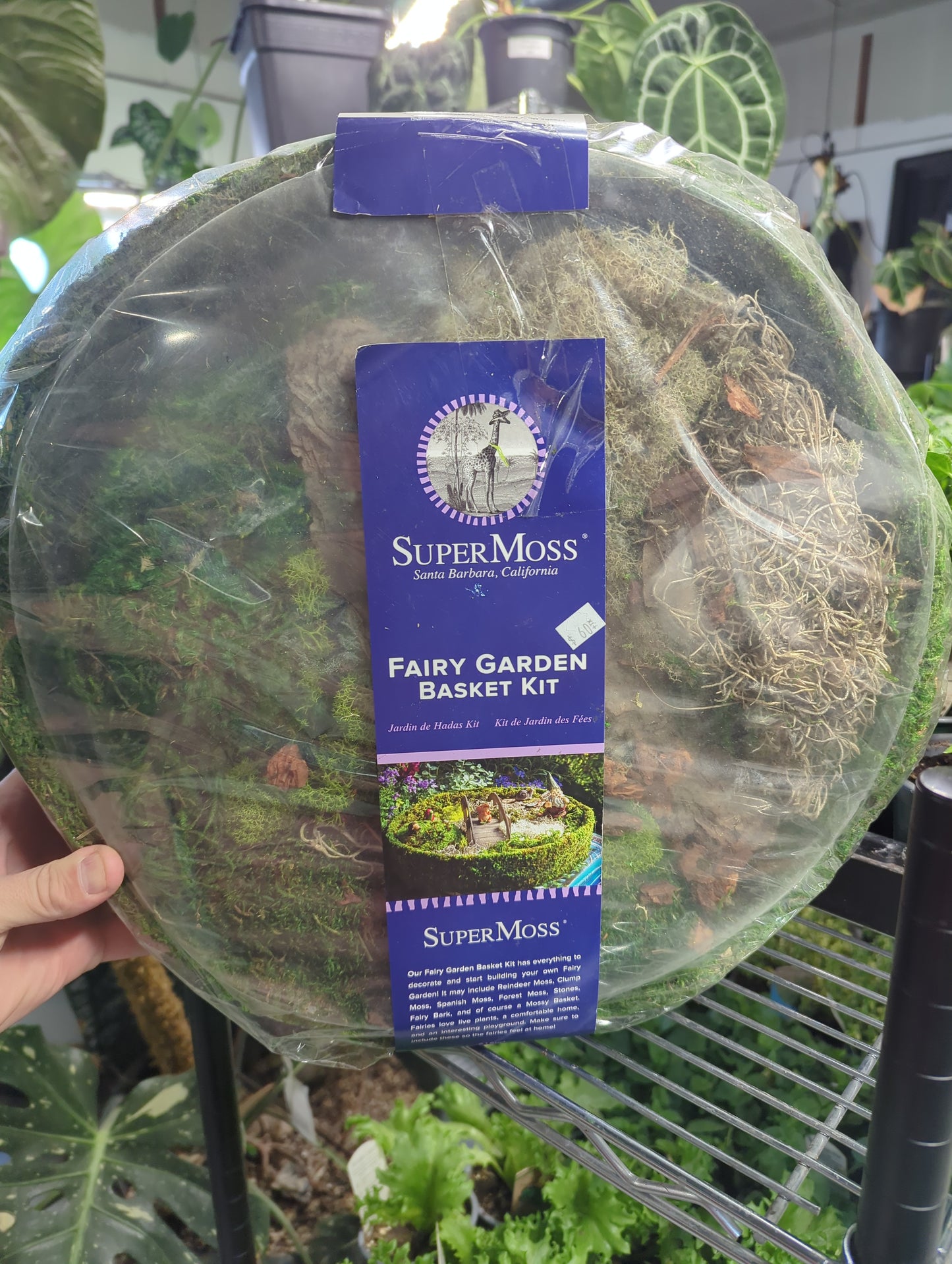 Fairy Garden Round Kit