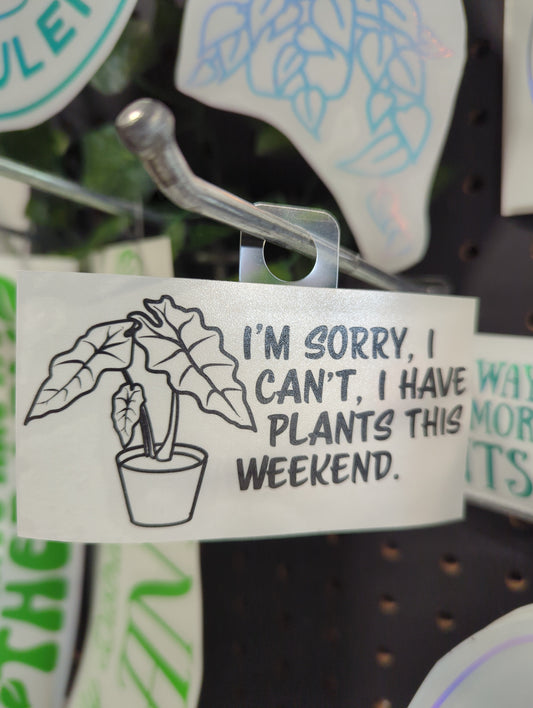 SORRY I CAN'T I HAVE PLANTS THIS WEEKEND 4X2"