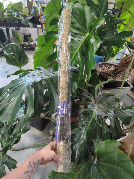 Blonde Sphagnum Moss Pole 36"