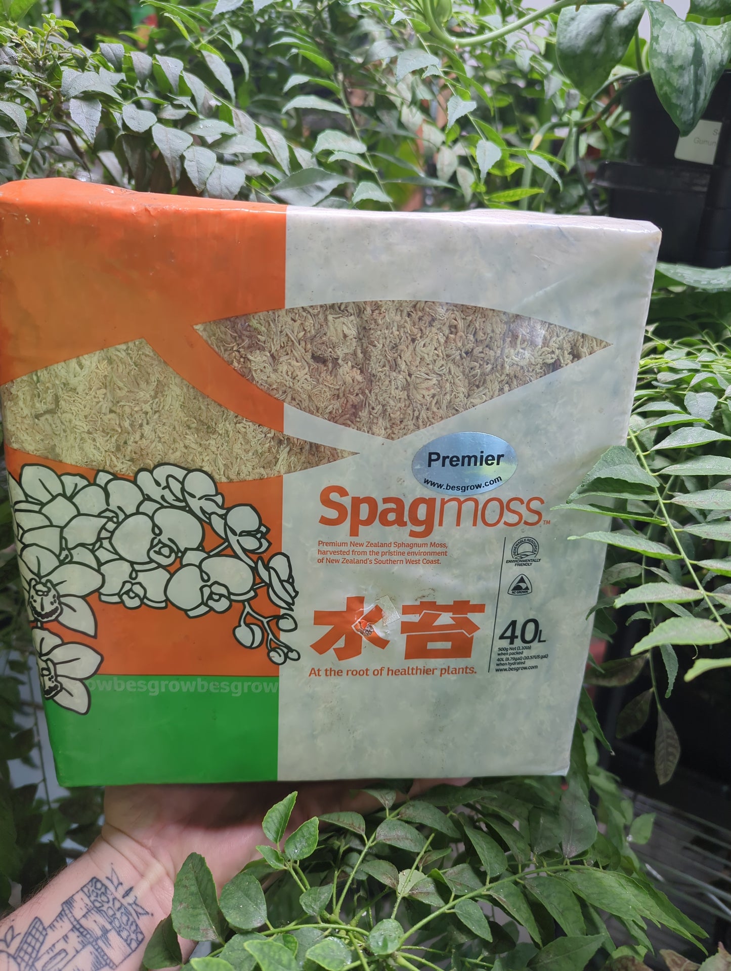 Sphagnum Moss Mini Bale 40L