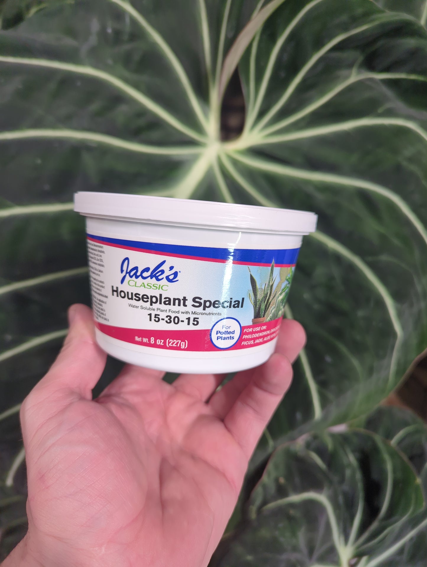 JACK'S CLASSIC HOUSEPLANT SPECIAL 15-
30-15 8 OZ