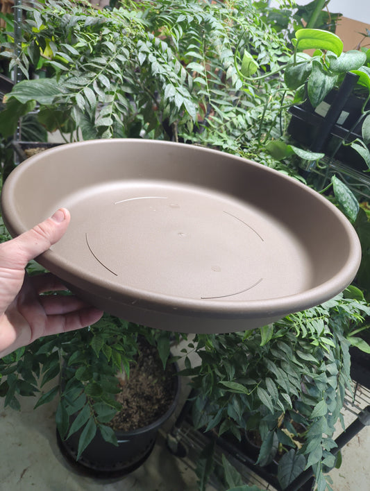 20" Classic Saucer Chocolate