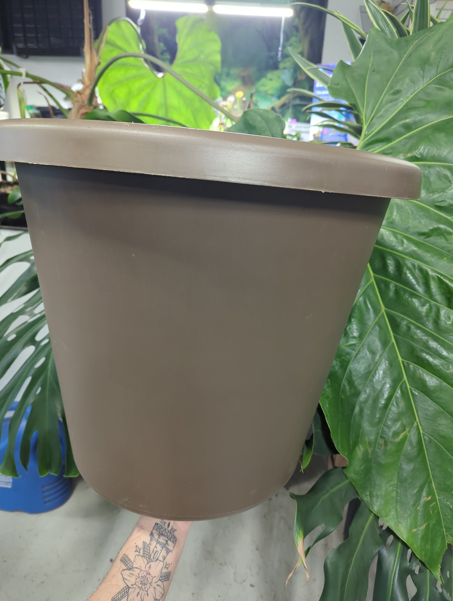 20" Classic Pot Chocolate