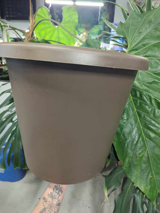 20" Classic Pot Chocolate