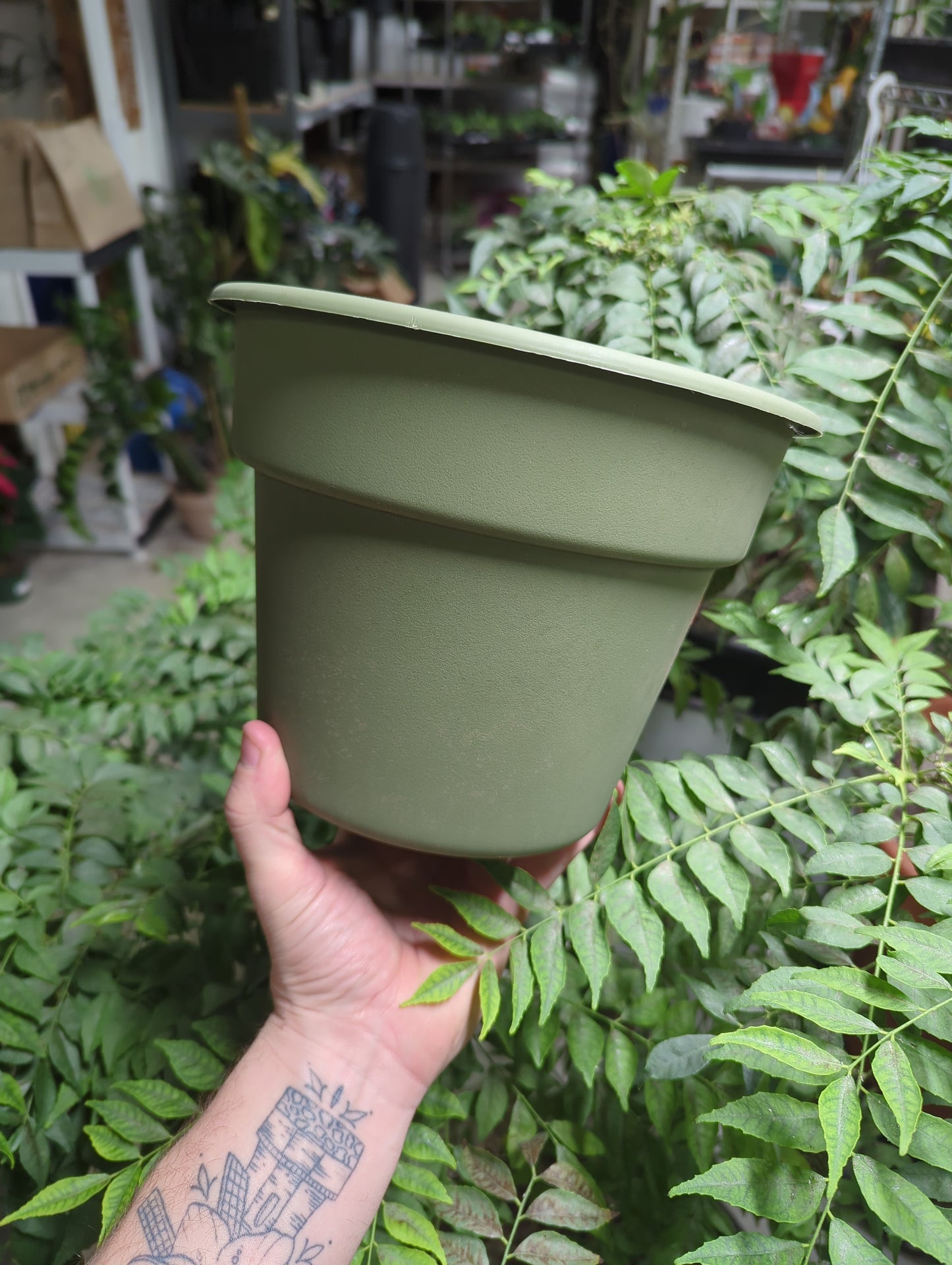 8" Dura Cotta Planter Living Green