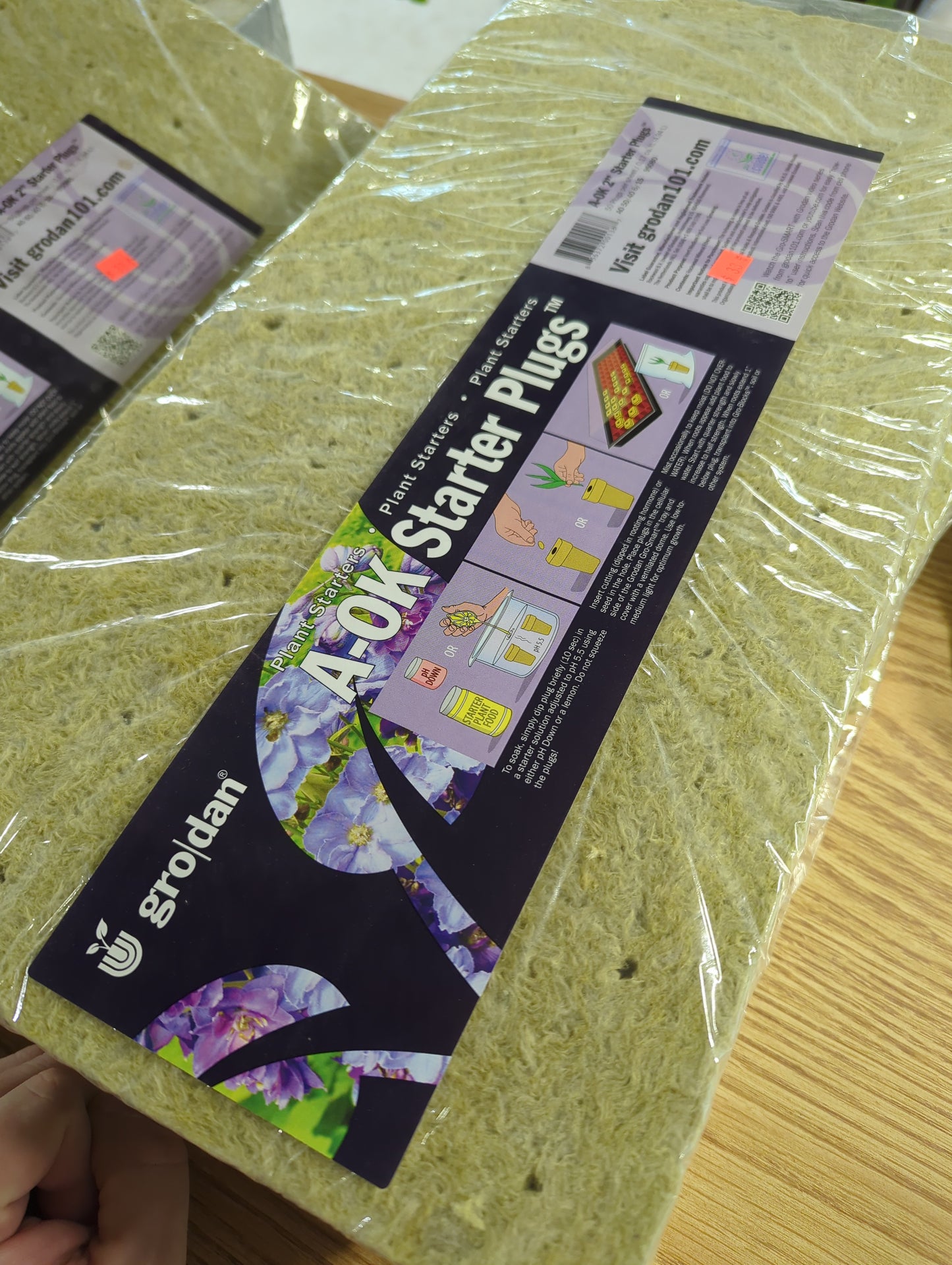 2 inch Slab precut 50 plugs Rockwool