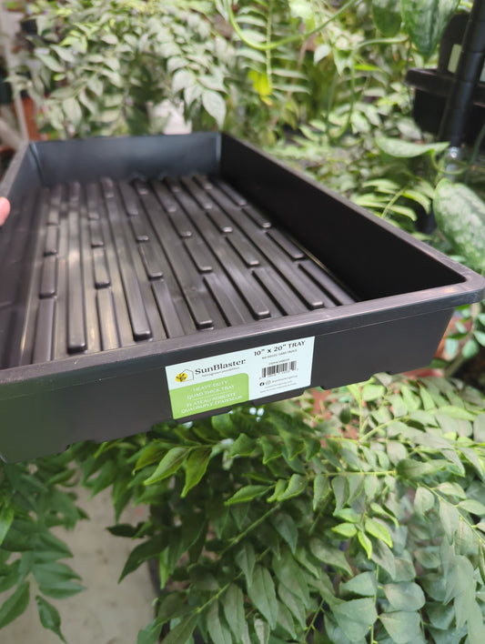1020 Propagation Tray Quad thick