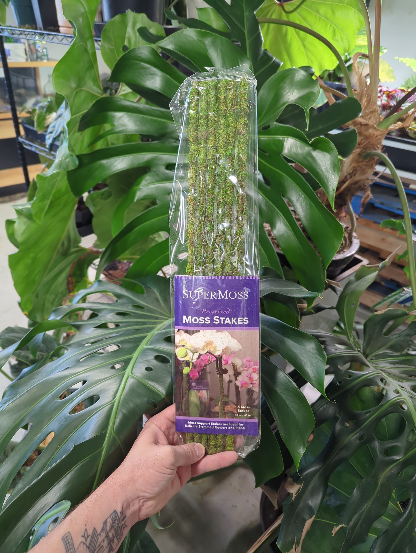 Metal Moss Stake green 18 in