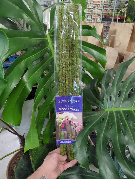 Moss Stake green 24" 6 pack