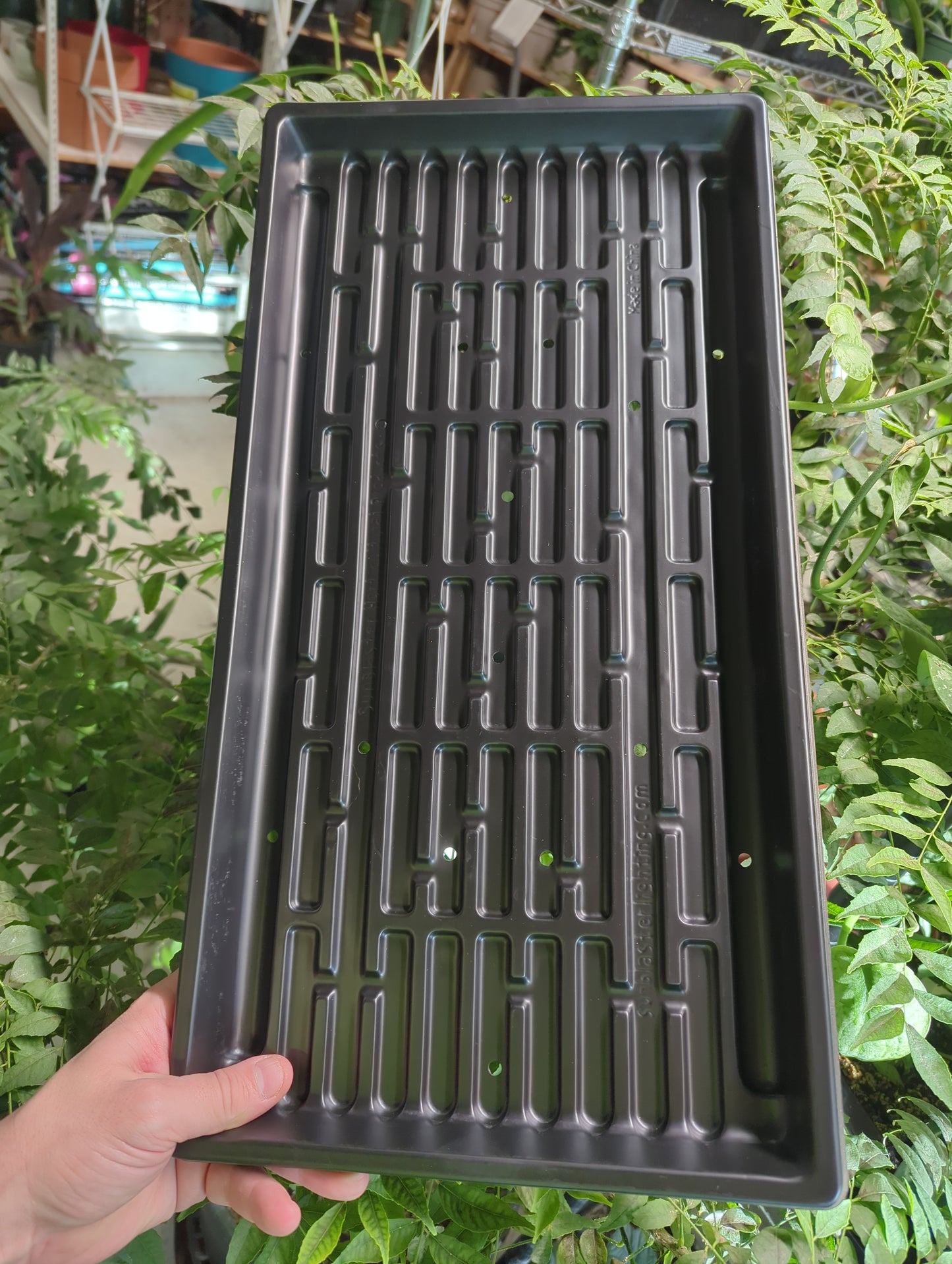 1020 DBL THICK 1.25" DEEP MICROGREEN TRAY W / HOLES