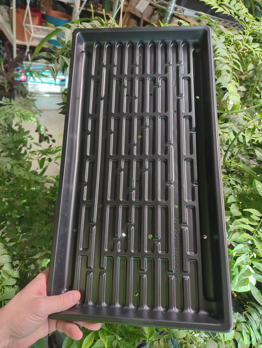 1020 DBL THICK 1.25" DEEP MICROGREEN TRAY W / HOLES