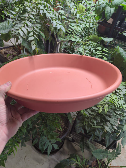 20" Classic Saucer Terra Cotta