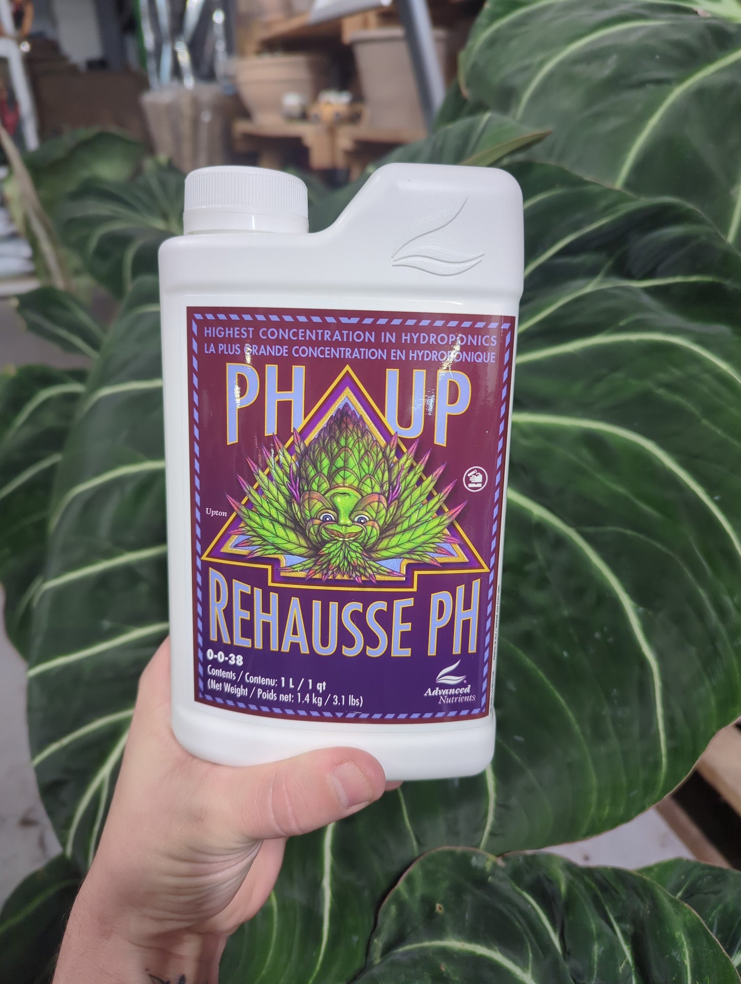 PH ADJUSTMENT:UP:845268001341