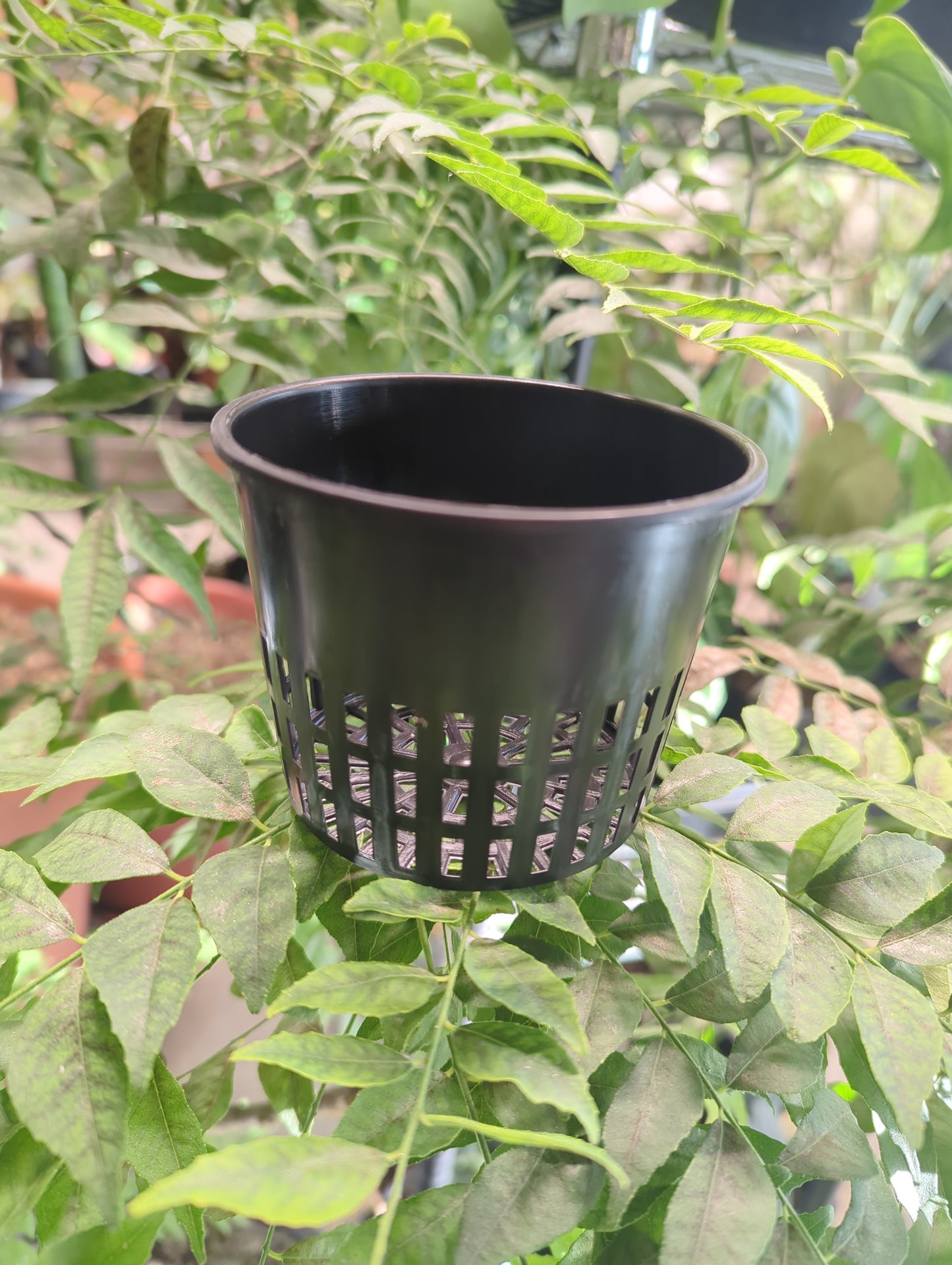 Gro Pro Net Pot 3.75 in Black