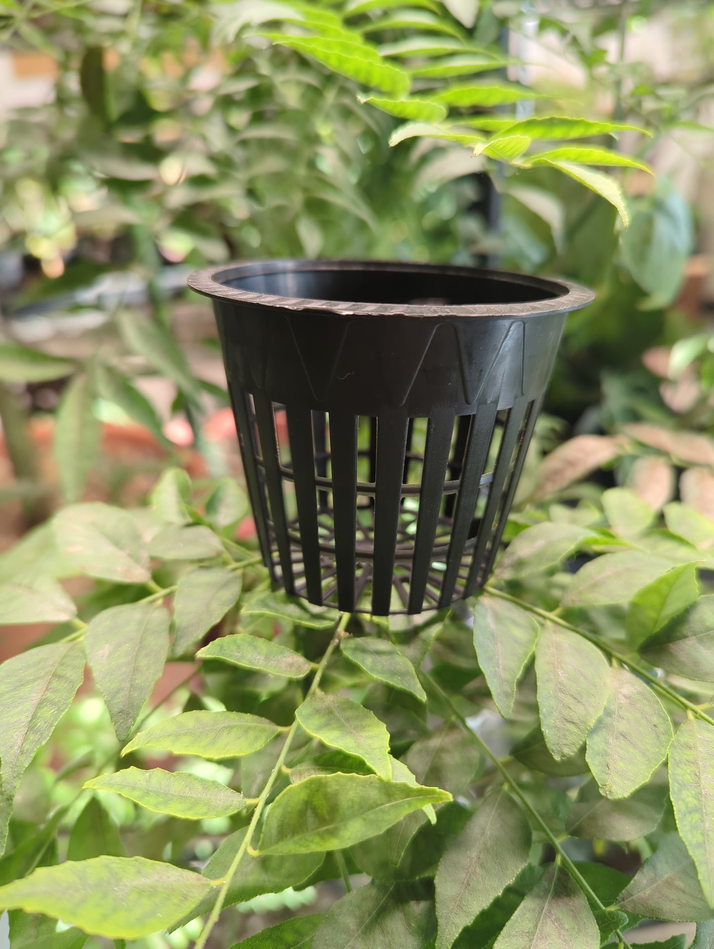 Gro Pro Net Pot 3 in