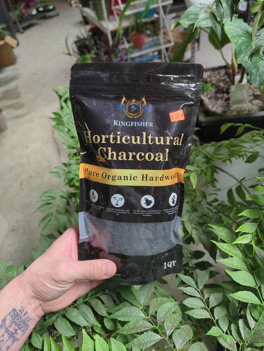 1 Quart Charcoal