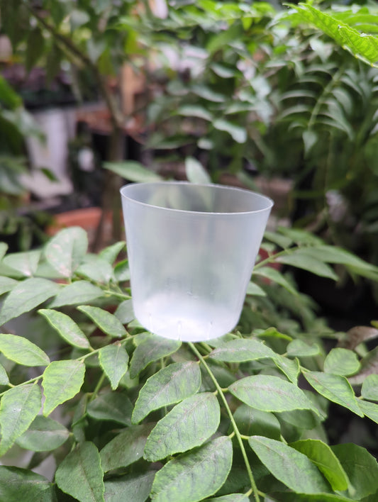 2 3/8'  Round Clear Pot