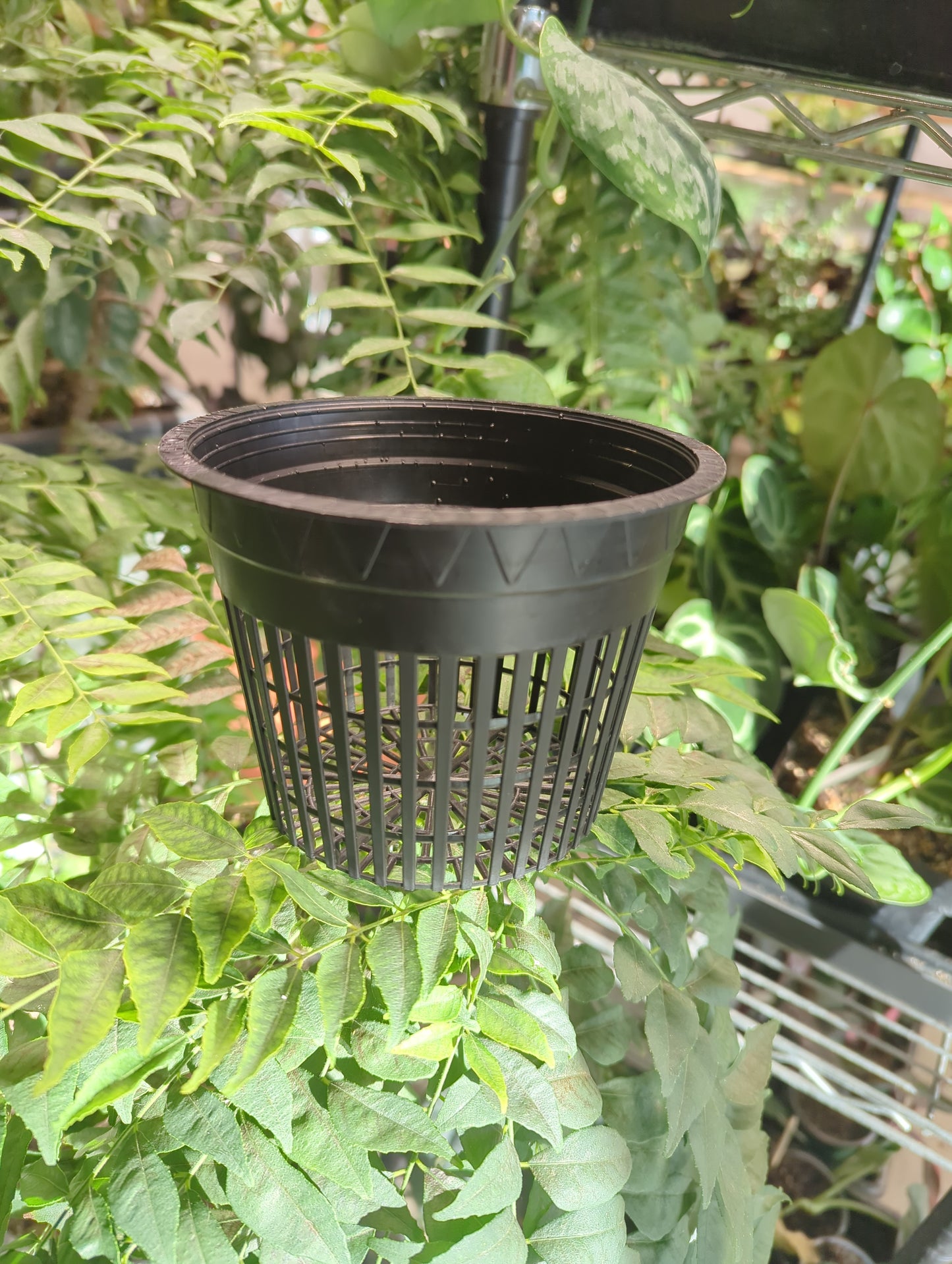 Gro Pro Net Pot 5 in