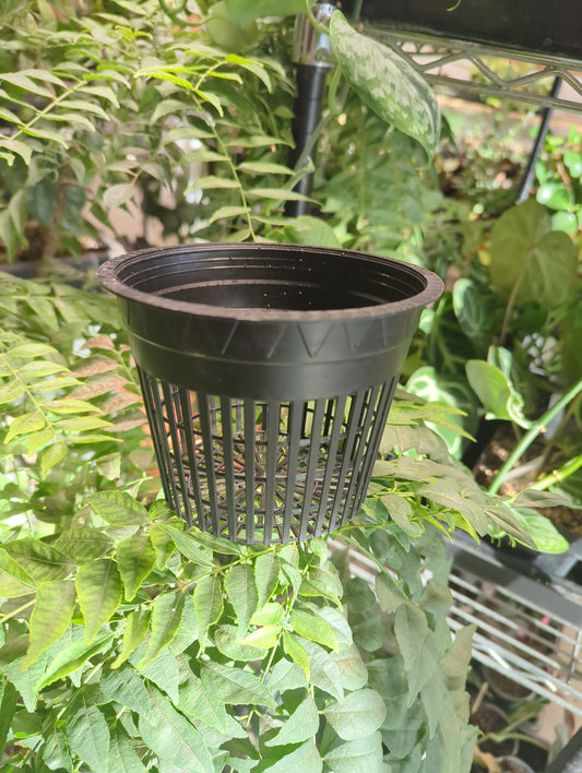 Gro Pro Net Pot 5 in